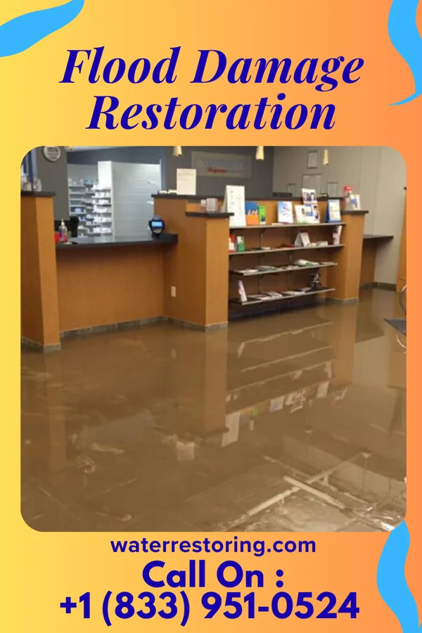 Flood Damage Restoration in Kenilworth, IL